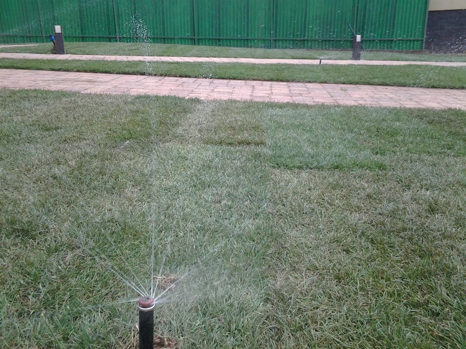 Výsadby rastlín, zavlažovací systém a položenie kobercového trávnika v záhrade pri RD Výsadby rastlín, zavlažovací systém a položenie kobercového trávnika v záhrade pri RD