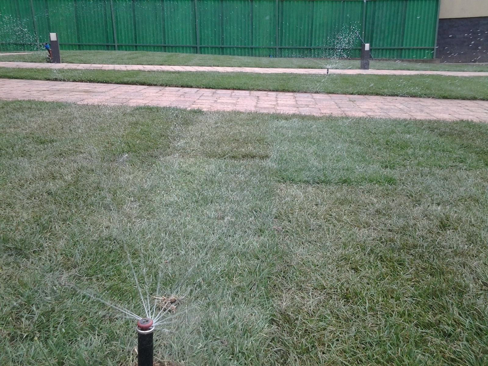Výsadby rastlín, zavlažovací systém a položenie kobercového trávnika v záhrade pri RD Výsadby rastlín, zavlažovací systém a položenie kobercového trávnika v záhrade pri RD