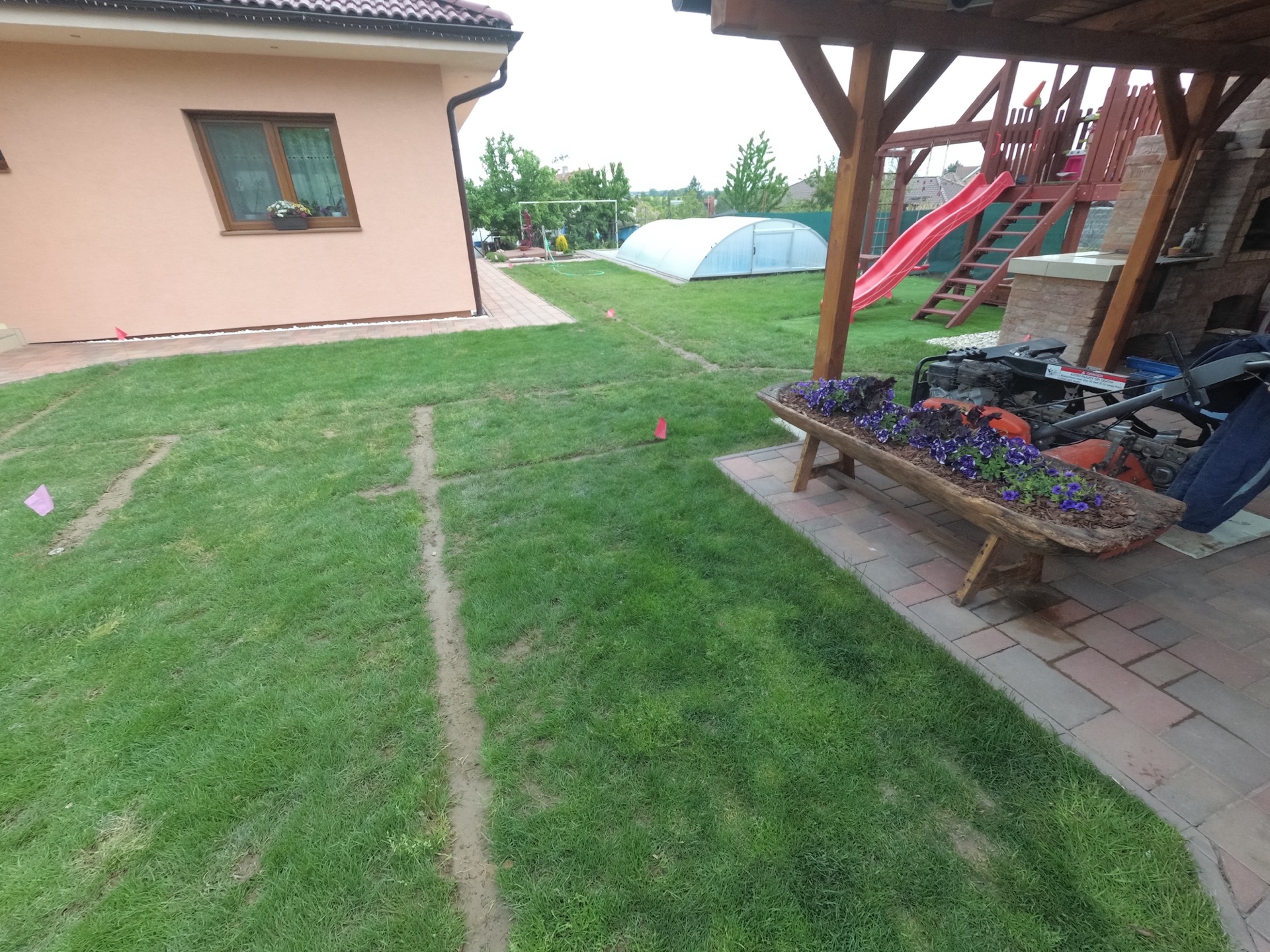 Pokládka trávnika a výsadba malého záhonu pri RD v Hornej Kráľovej Pokládka trávnika a výsadba malého záhonu pri RD v Hornej Kráľovej