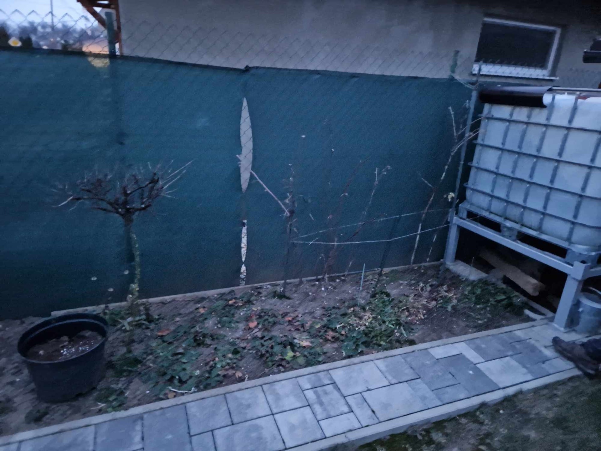 Rekonštrukcia malej rodinnej záhrady. Projektová dokumentácia, výsadby rastlín, zavlažovací systém Hunter a pokládka trávnika. Rekonštrukcia malej rodinnej záhrady. Projektová dokumentácia, výsadby rastlín, zavlažovací systém Hunter a pokládka trávnika.