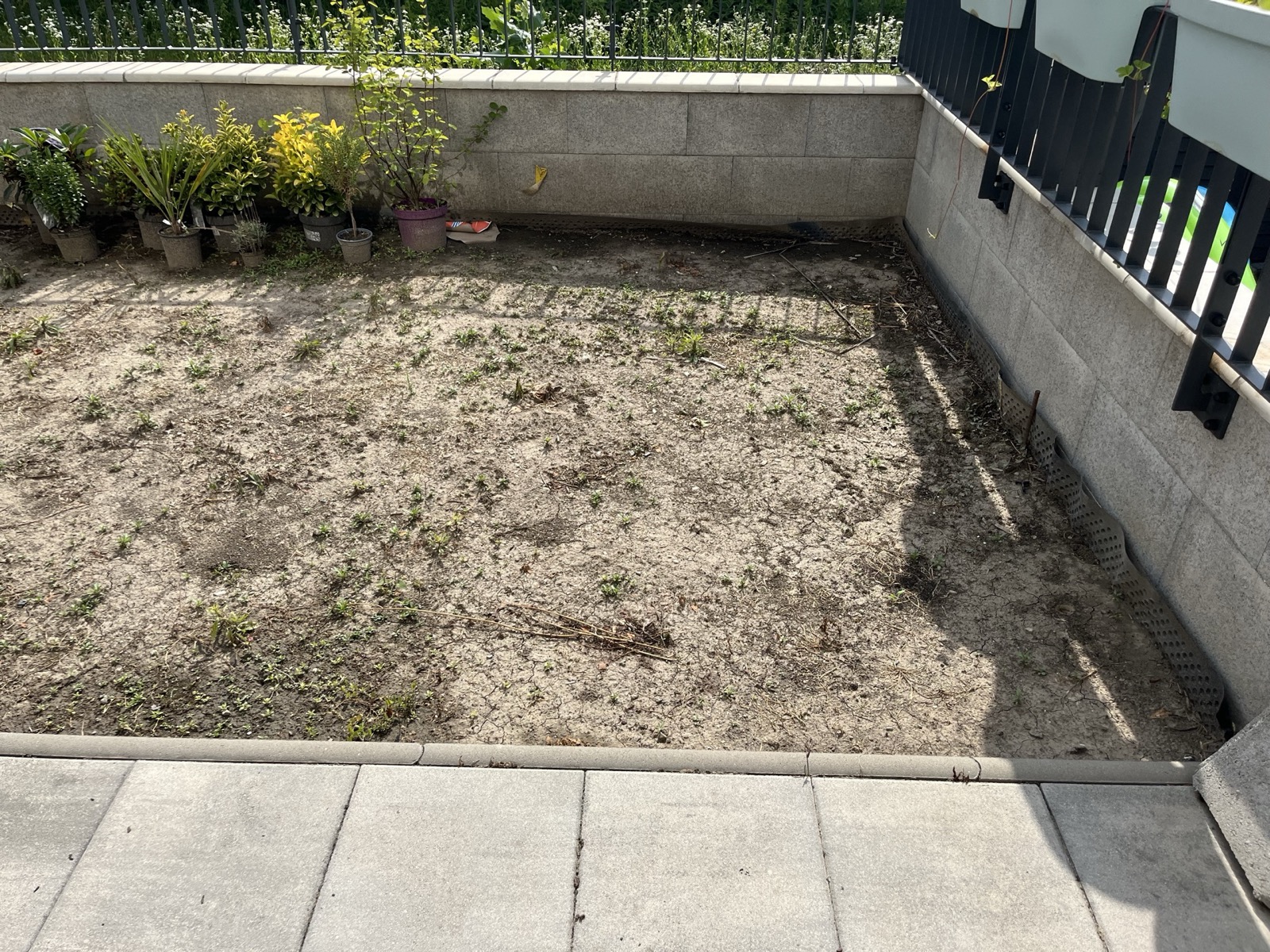 Realizácia malej záhradky pri bytovom dome. Výsadby rastlín a pokládka trávnika Realizácia malej záhradky pri bytovom dome. Výsadby rastlín a pokládka trávnika