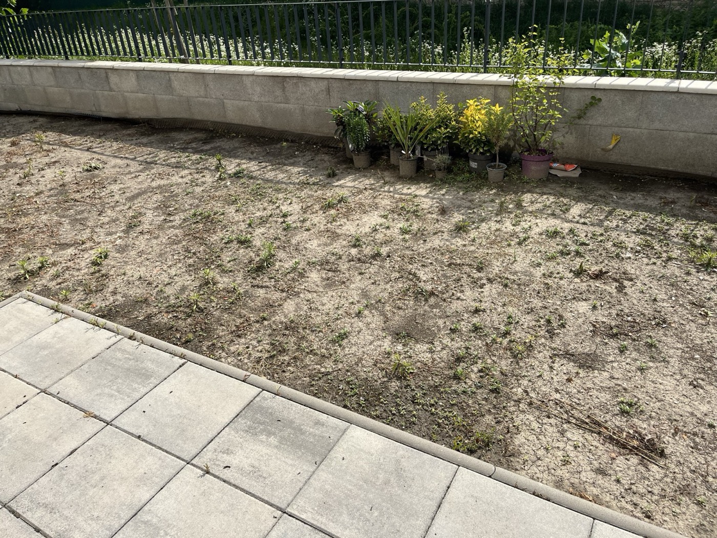 Realizácia malej záhradky pri bytovom dome. Výsadby rastlín a pokládka trávnika Realizácia malej záhradky pri bytovom dome. Výsadby rastlín a pokládka trávnika