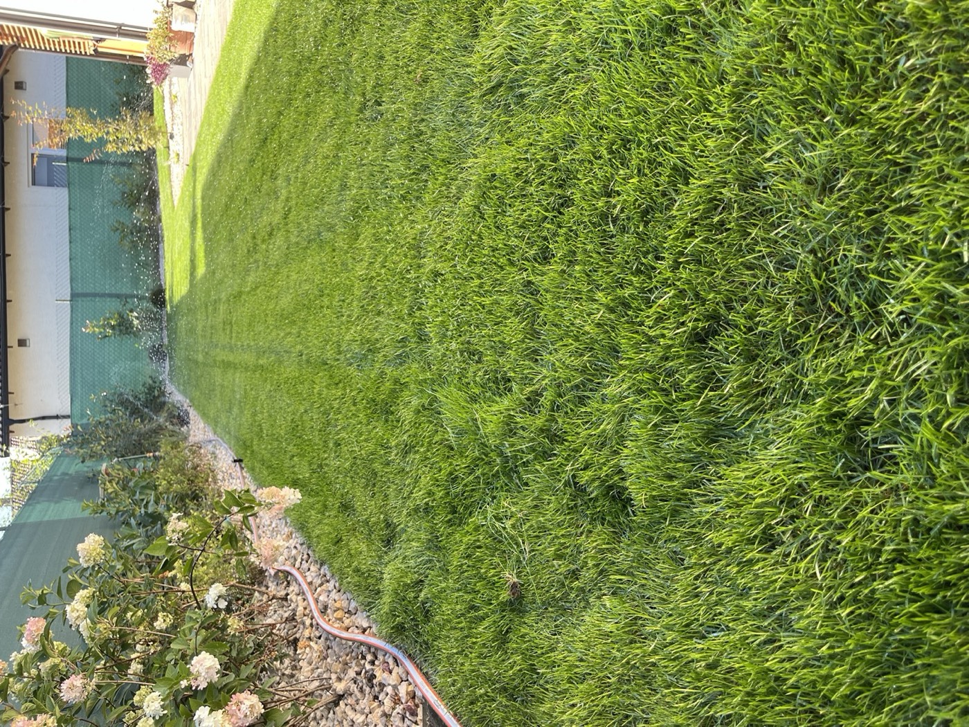 Rekonštrukcia malej rodinnej záhrady. Projektová dokumentácia, výsadby rastlín, zavlažovací systém Hunter a pokládka trávnika. Rekonštrukcia malej rodinnej záhrady. Projektová dokumentácia, výsadby rastlín, zavlažovací systém Hunter a pokládka trávnika.
